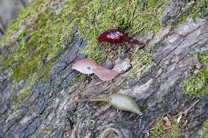 パニクラDRラトル」先行販売のお知らせ