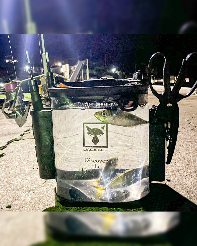 ライトゲームライブウェル