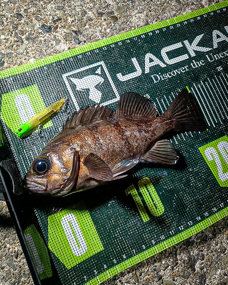 メッシュメジャー