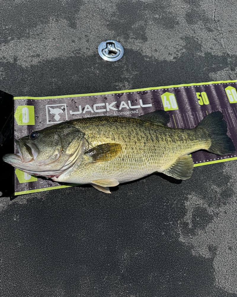 メッシュメジャー