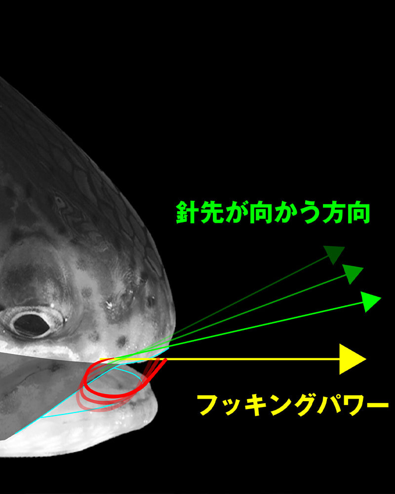 【WEB限定】16CP(60本入り)