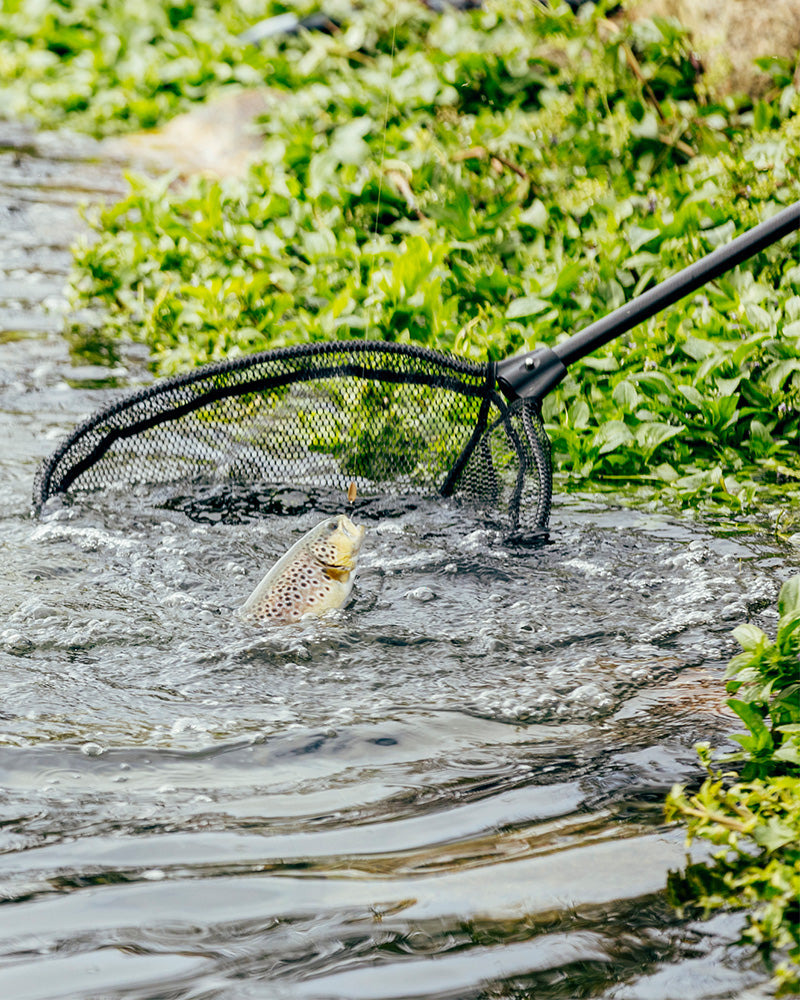 T-CONNECTION LANDING NETフレーム&ネット