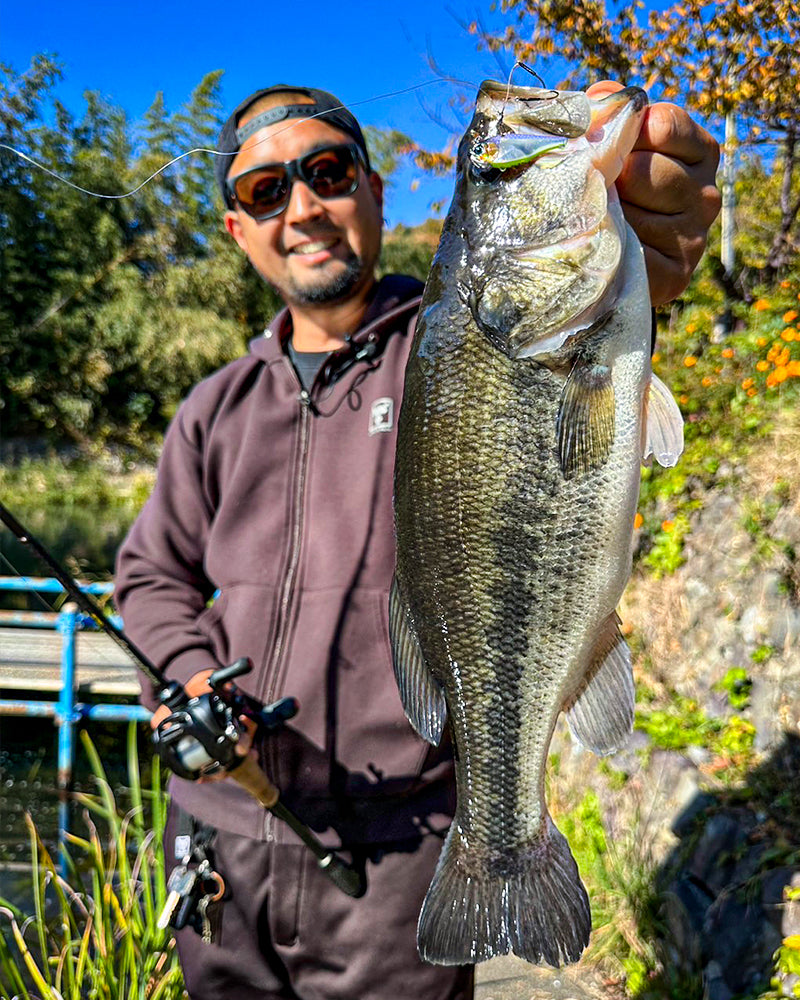 プラグツインアシストフック#4