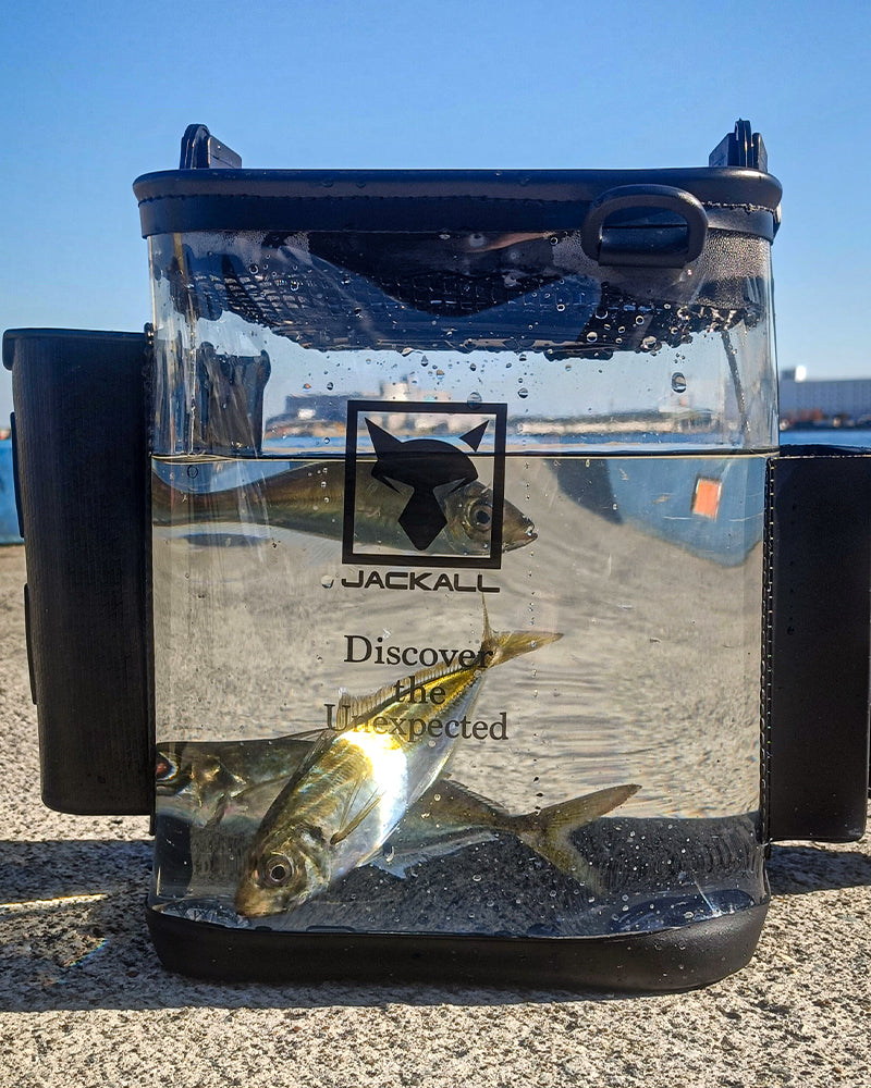 ライトゲームライブウェル