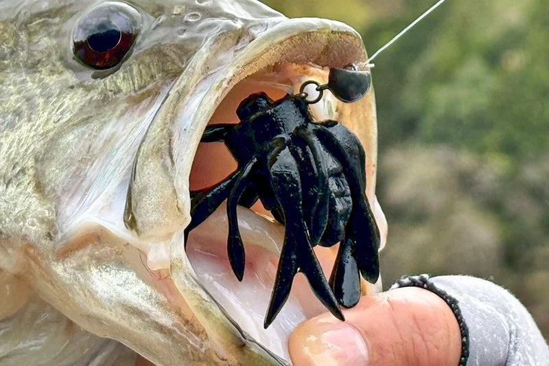 carabiner keychain