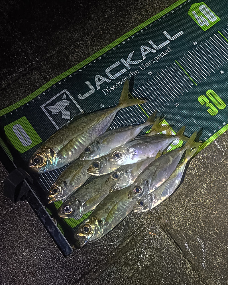 メッシュメジャー