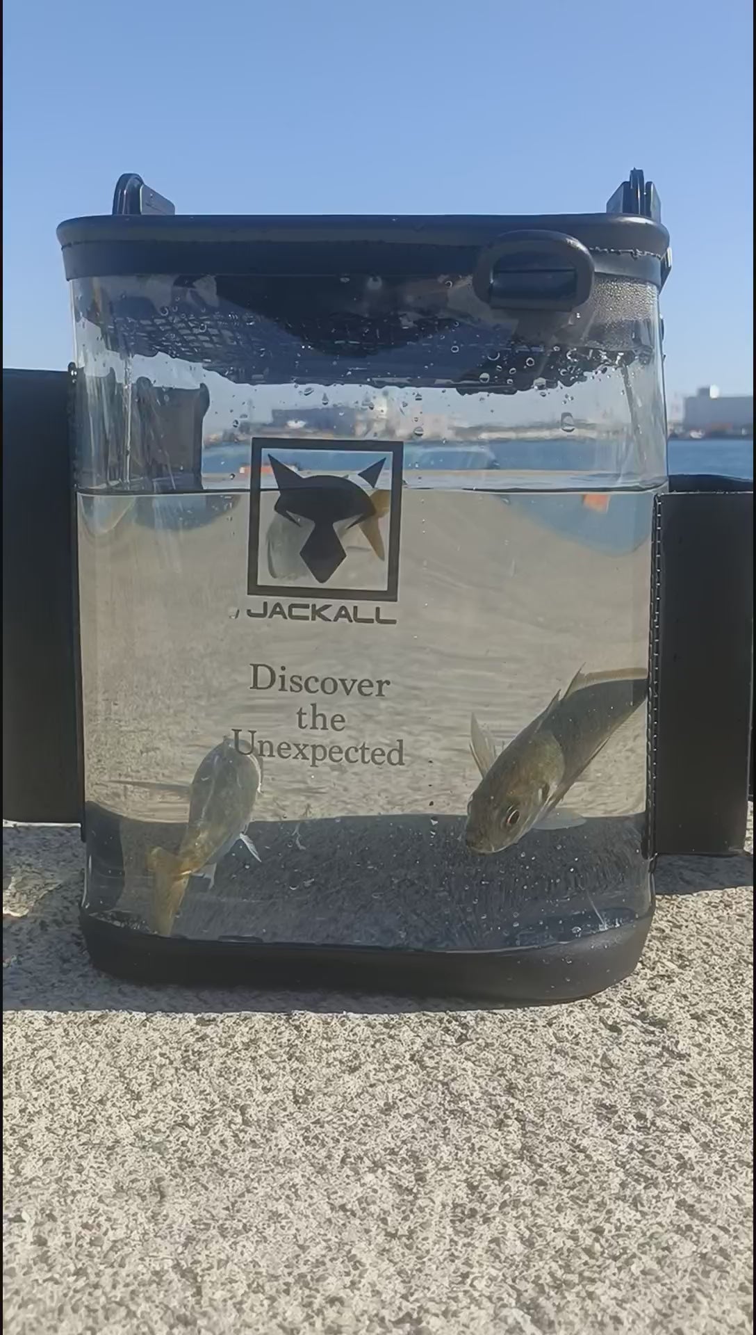 ライトゲームライブウェル